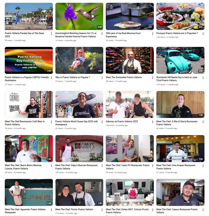 Promote your Puerto Vallarta Business Youtube Puerto vallarta