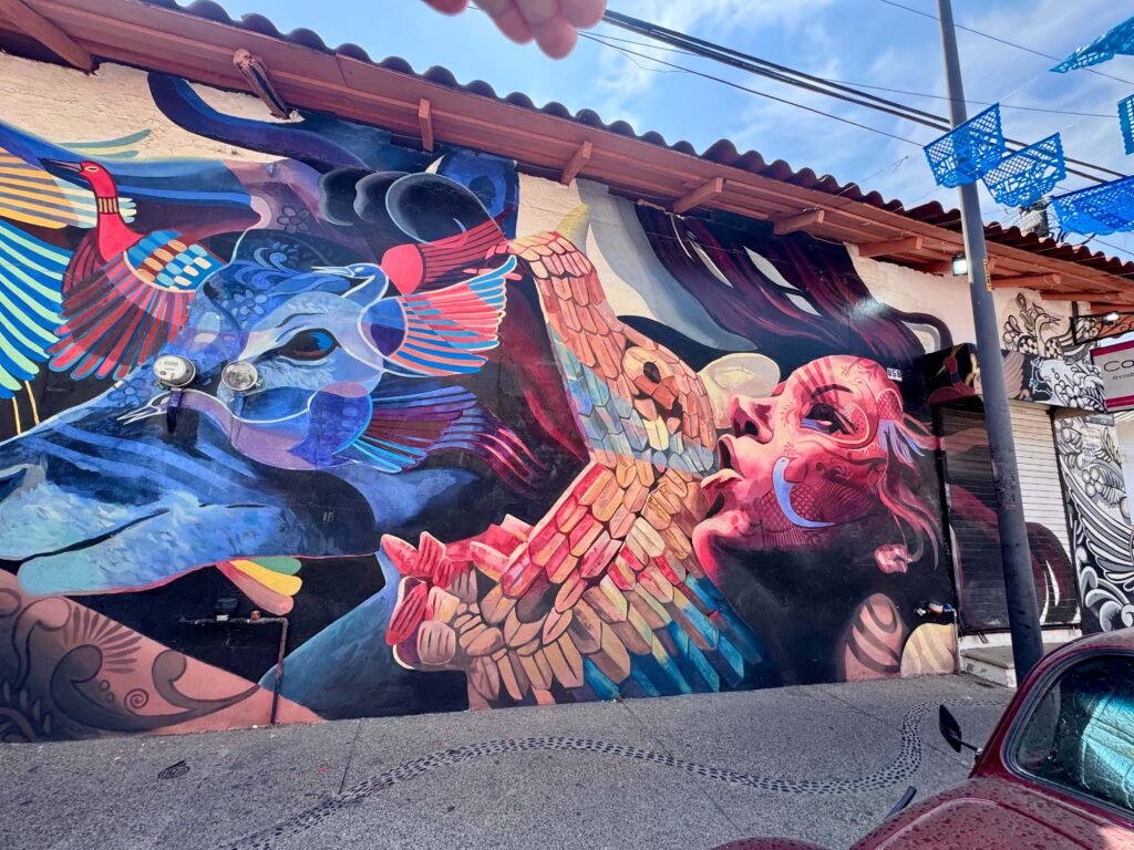 Street Art Puerto Vallarta Murals