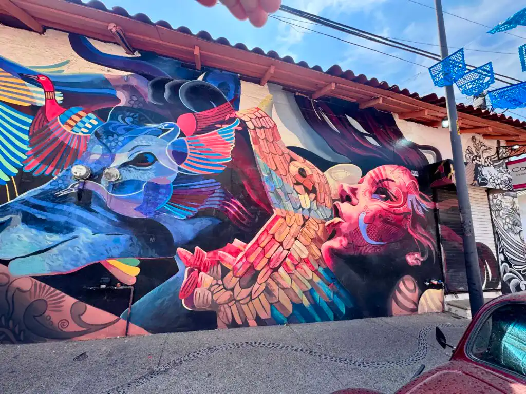 Street Art Puerto Vallarta Murals Travel Video Guide Review