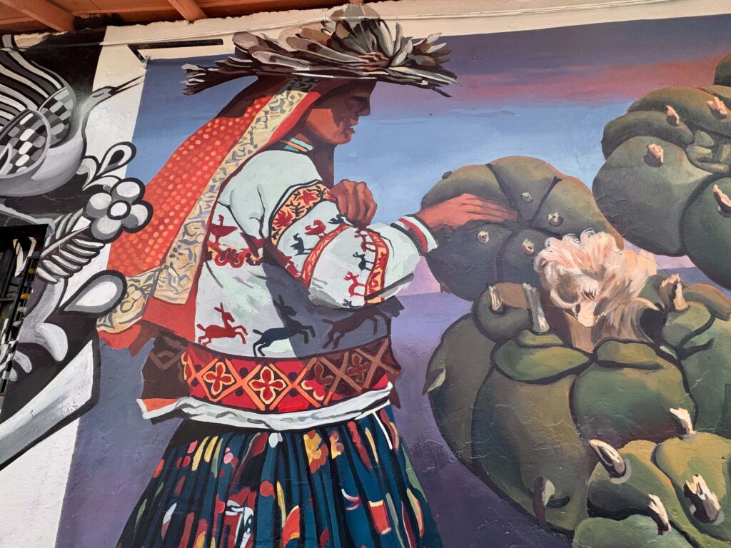 Street Art Puerto Vallarta Murals