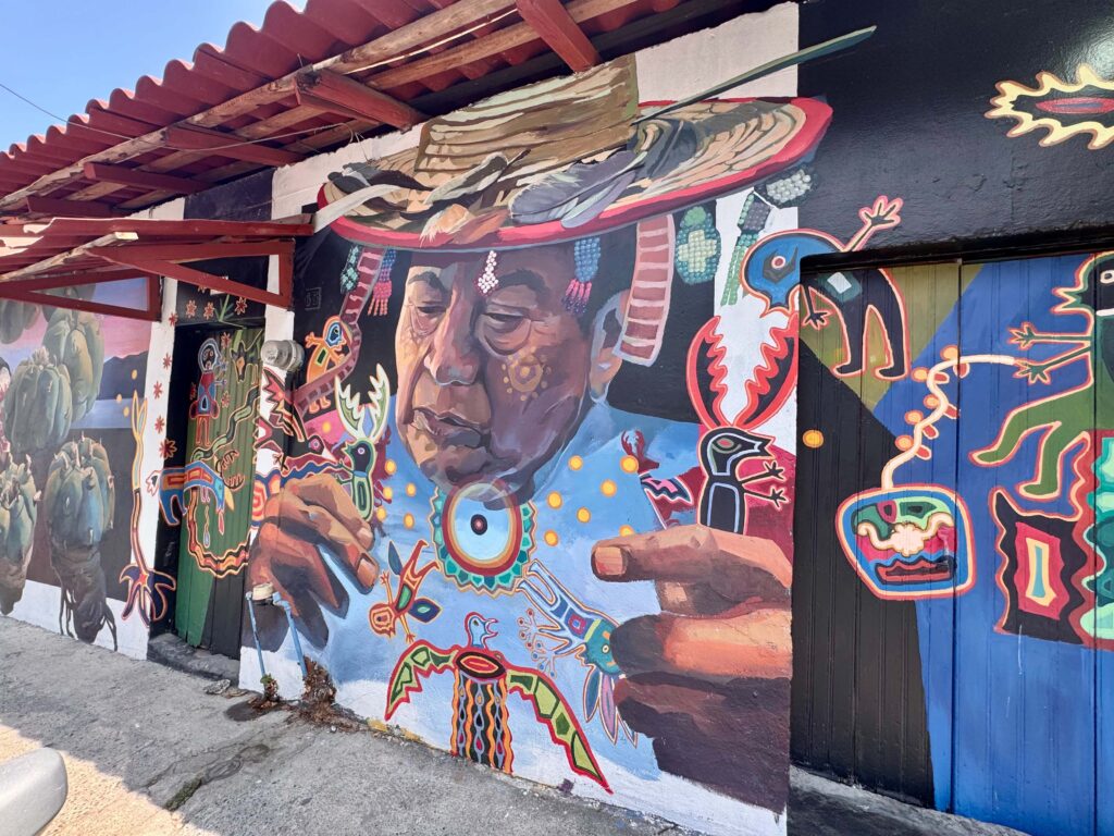 Street Art Puerto Vallarta Murals