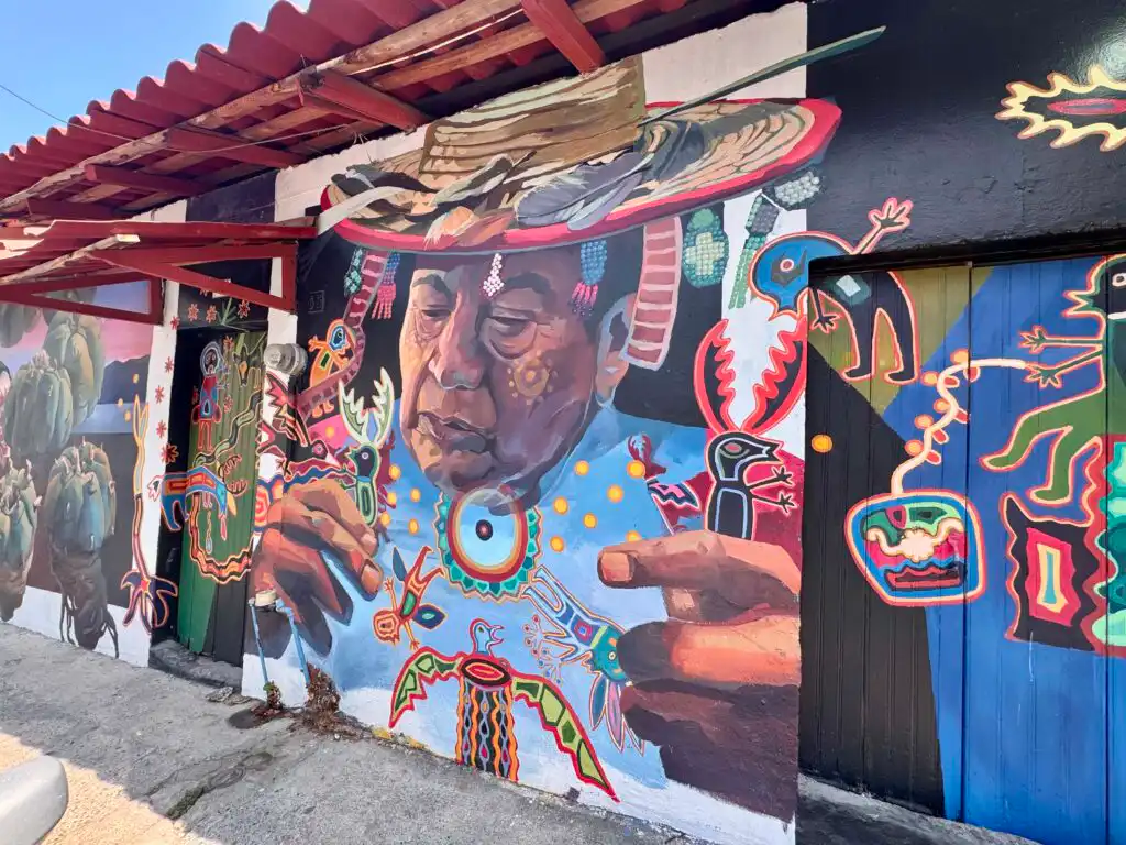 Street Art Puerto Vallarta Murals