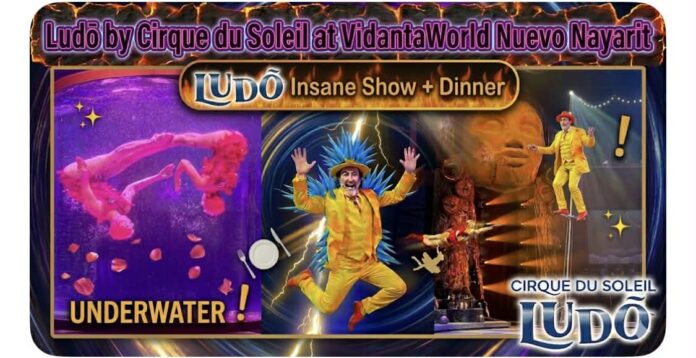 Cirque du Soleil Ludo