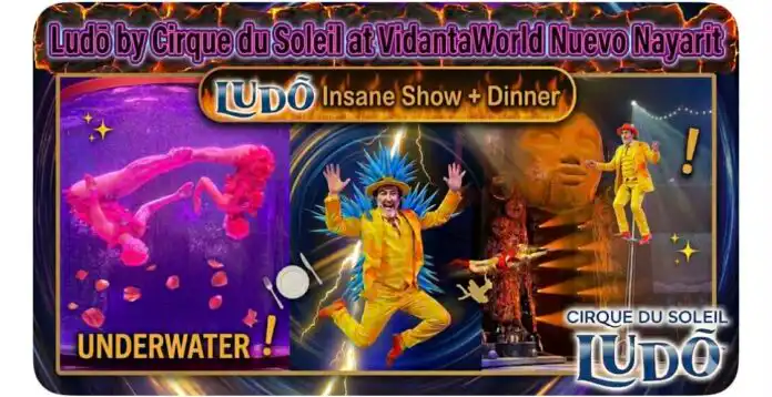 Cirque du Soleil Ludo