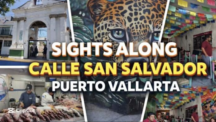 Puerto Vallarta Travel Video Guide