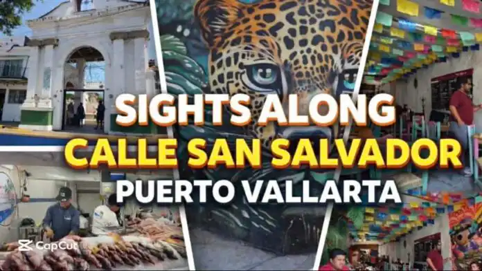 Puerto Vallarta Travel Video Guide