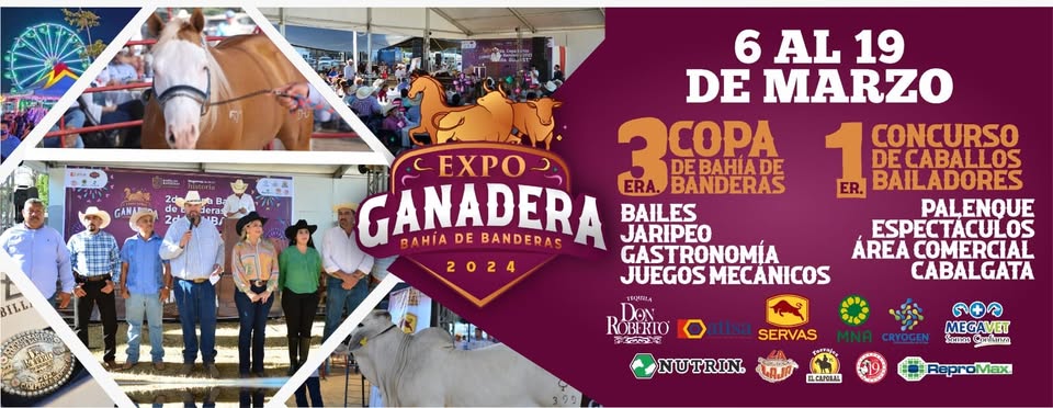 Major Events & Festivals