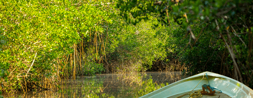 Things to do Puerto Vallarta