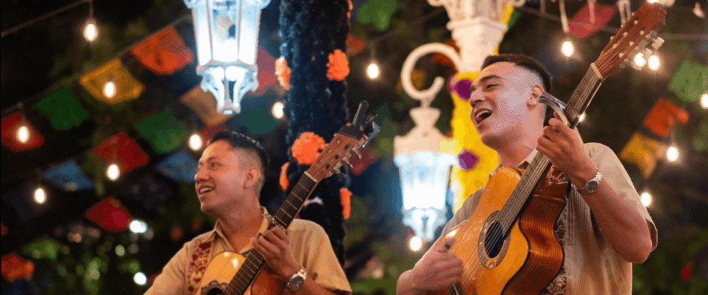 Things to do Puerto Vallarta