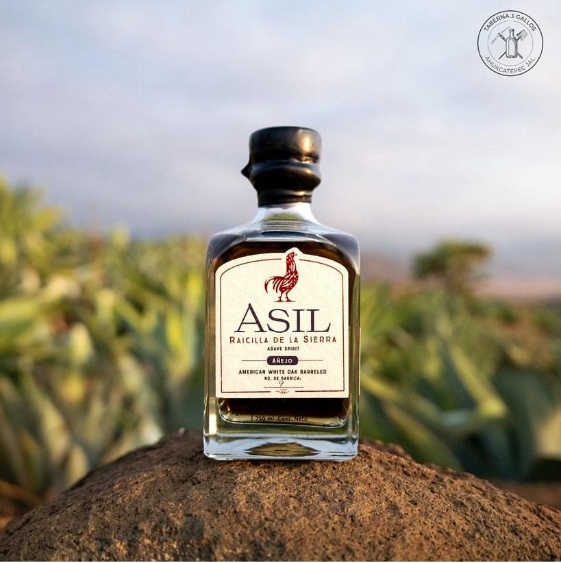 Learn all About the Raicilla Beverage.