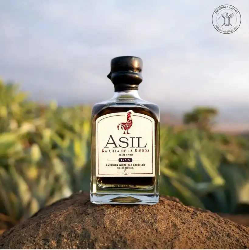 Learn all About the Raicilla Beverage.