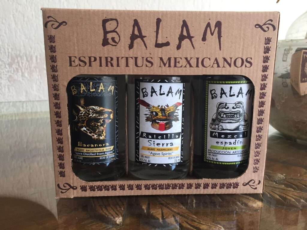 Learn all About the Raicilla Beverage.