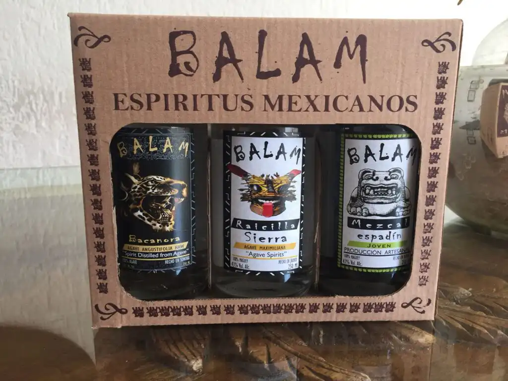 Learn all About the Raicilla Beverage.