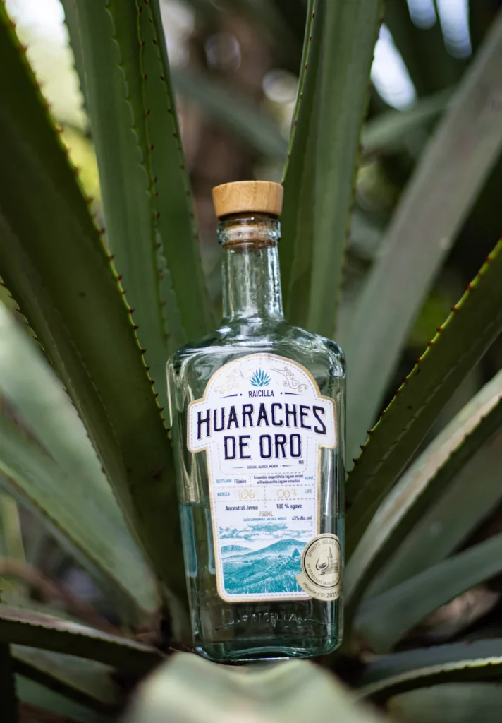 Learn all About the Raicilla Beverage.