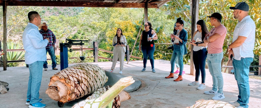 Raicilla Divisadero Jalisco