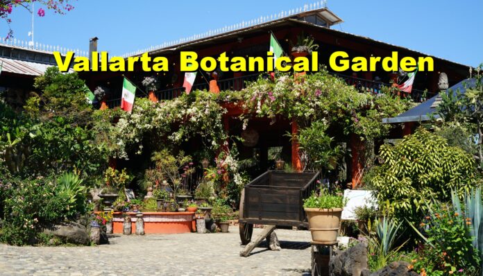 Botanical Garden Puerto Vallarta Ultimate Travel Guide 2026 Puerto Vallarta promovisionpv.com https://promovisionpv.com/