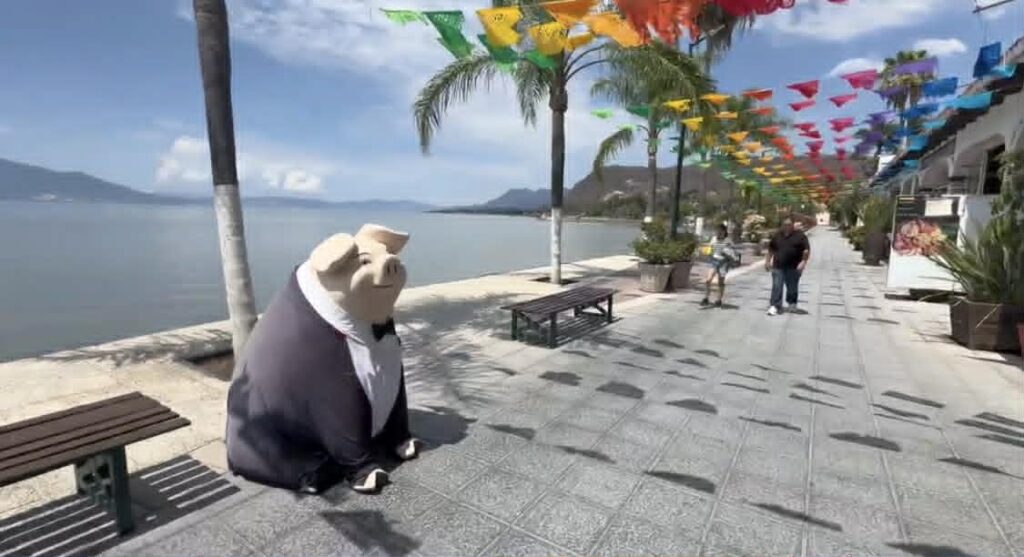 Discover Chapala