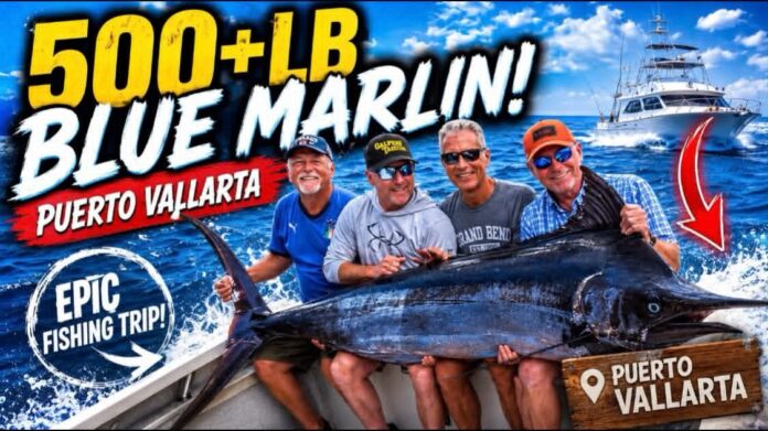 Puerto Vallarta Fishing