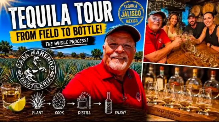 Tequila Tasting, Jalisco