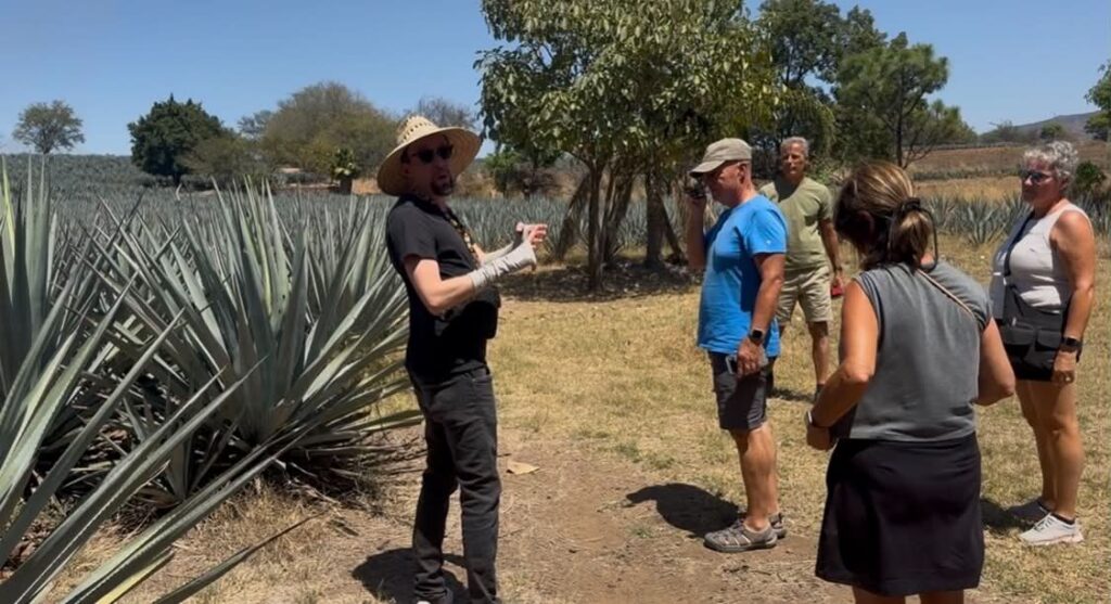 Ultimate Tequila Tour & Tasting Experience