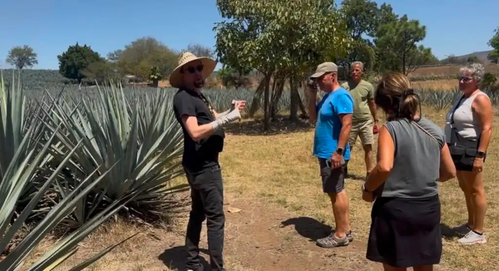 Ultimate Tequila Tour & Tasting Experience