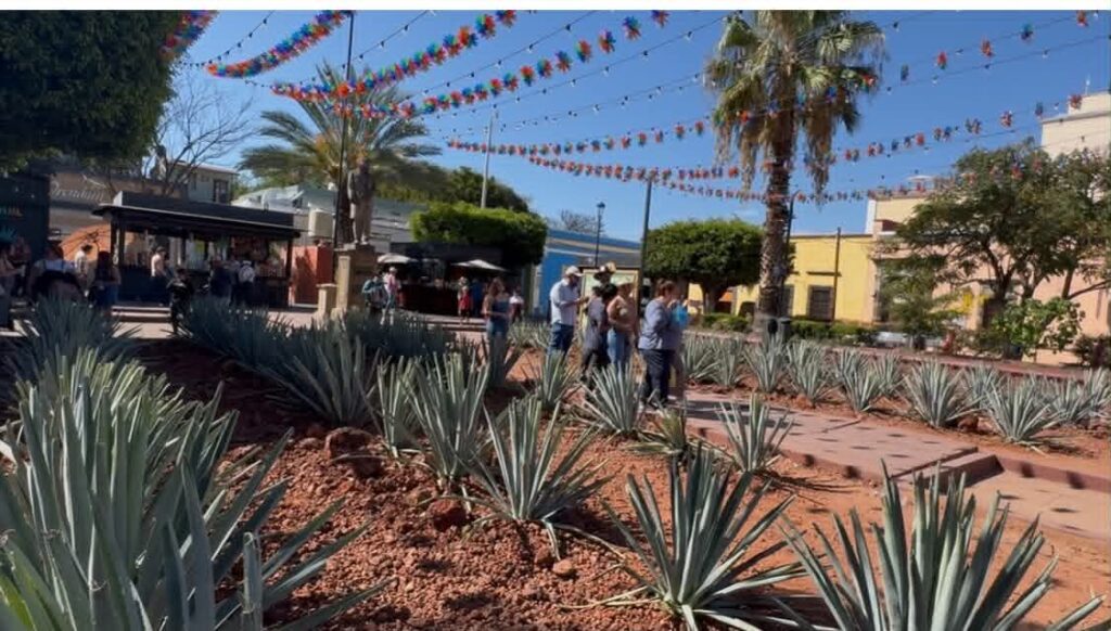 The REAL Tequila Mexico
