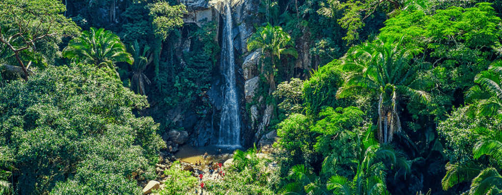 Puerto Vallarta Destination New Experiences
