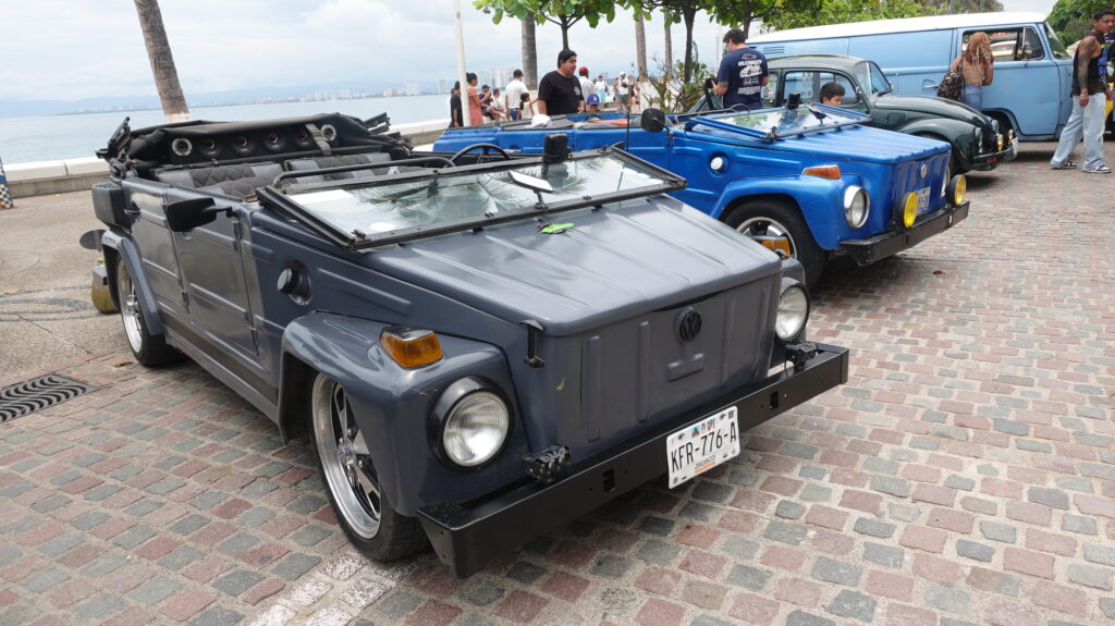Volkswagen Beetle Day