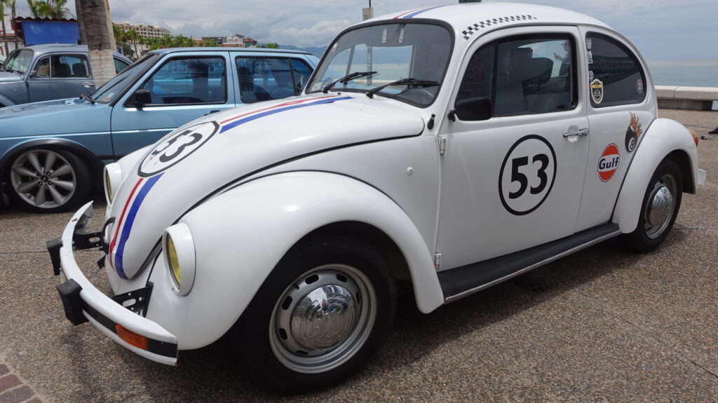 Volkswagen Beetle Day