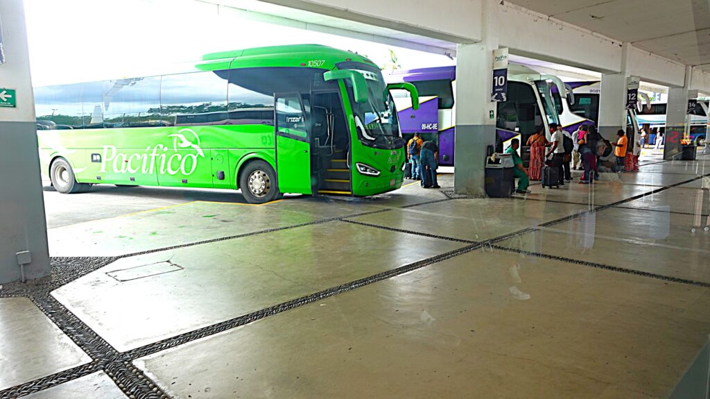 Discover Mexico by Bus via Puerto Vallarta