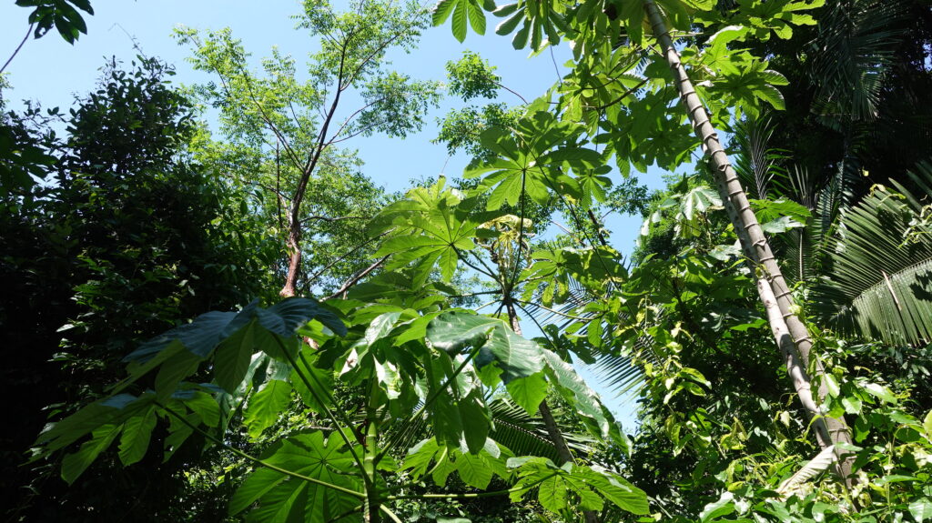 Puerto Vallarta Zoo