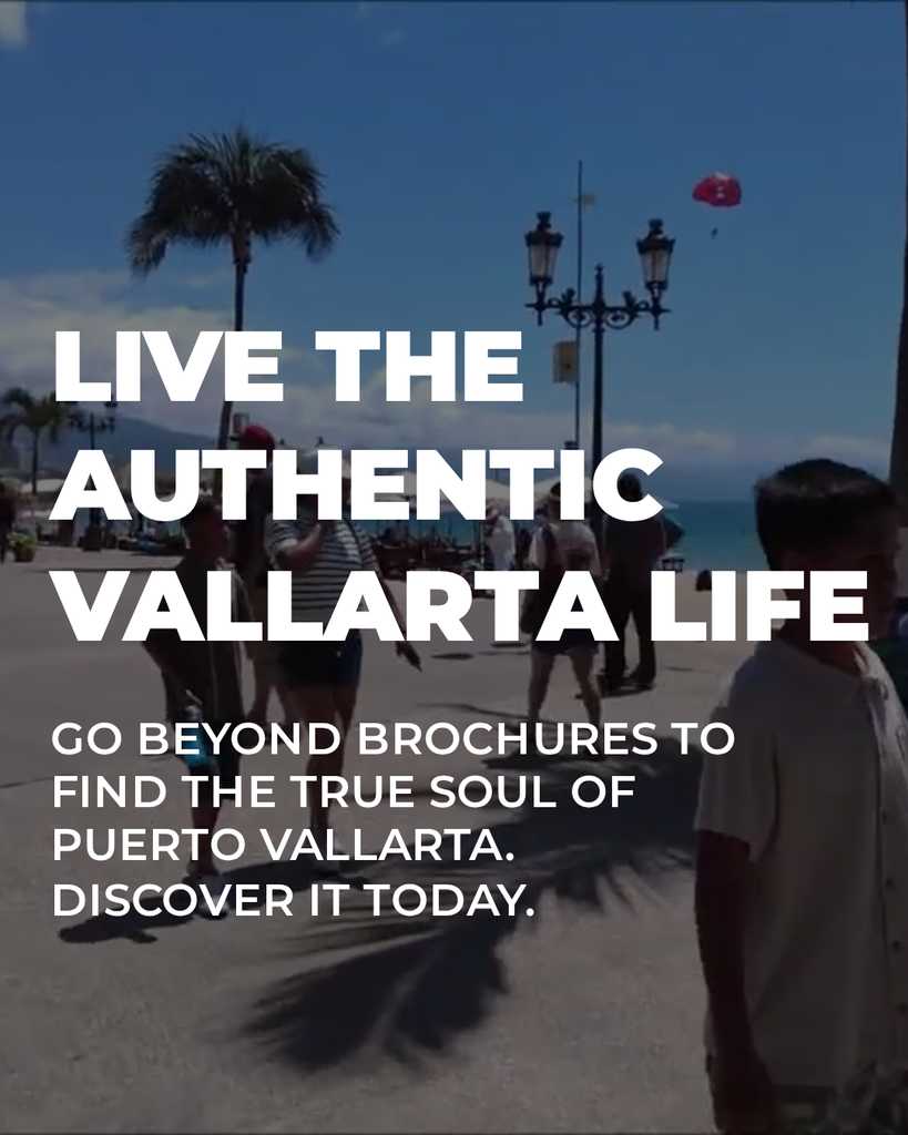 Puerto Vallarta Relocation Report 2026 promovisionpv.com marketing